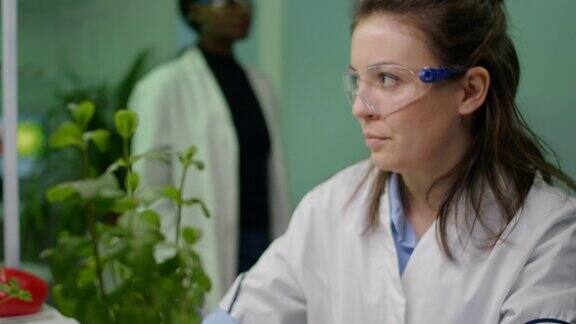 植物学家妇女为农业实验检查树苗的特写