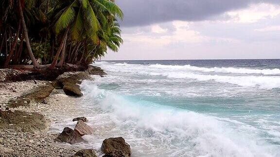 印度洋马尔代夫福瓦穆拉岛的热带海滩和椰子树