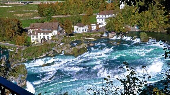 莱茵河瀑布靠近苏黎世在印度的夏天在瑞士的瀑布