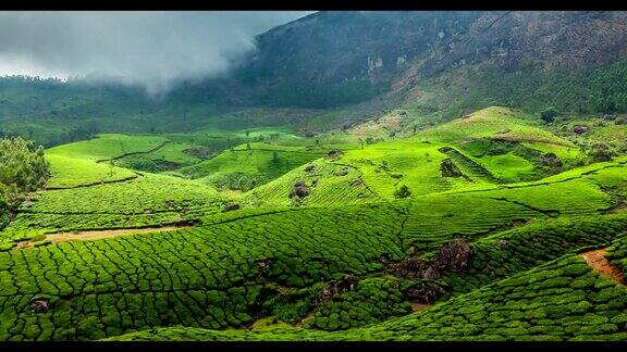 印度喀拉拉邦穆纳尔的绿茶种植园的全高清时间
