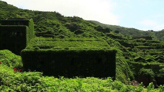 嵊山岛无人居住的岛童话般的世界《绿野仙踪》