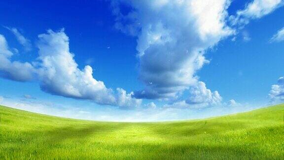 绿色的田野蔚蓝的天空
