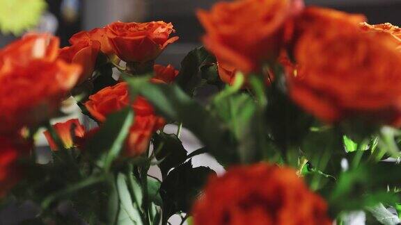 明亮的橙色小玫瑰