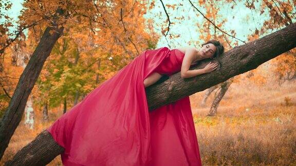 一个穿着红色长裙的女人躺在树枝上深色的公主