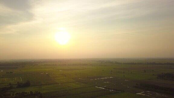 泰国稻田的田园风光