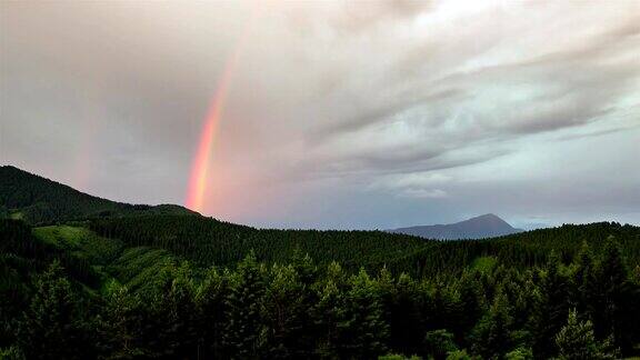 五彩缤纷的彩虹越过绿色的森林时光流逝