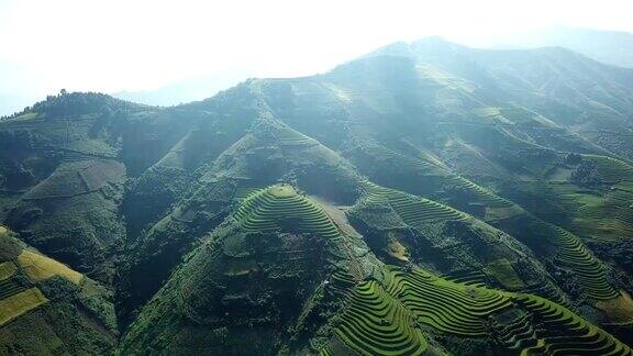 鸟瞰图越南西北部的梯田收获季节的稻田在木仓寨YenBai省越南