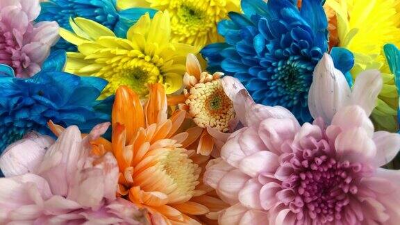 彩色抽象的花背景