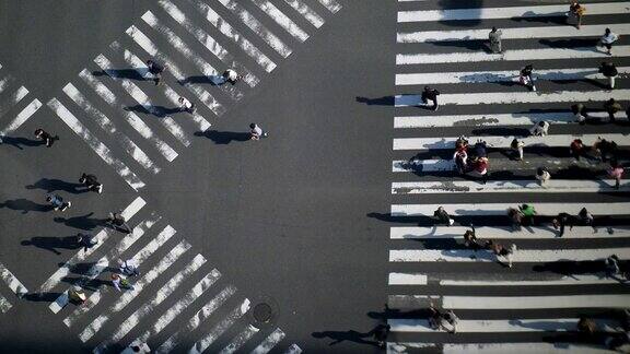 赢富数据穿越街道