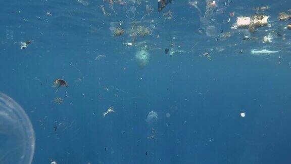 塑料和其他垃圾慢慢漂浮在蓝色的水面上接近珊瑚礁海洋的大规模污染