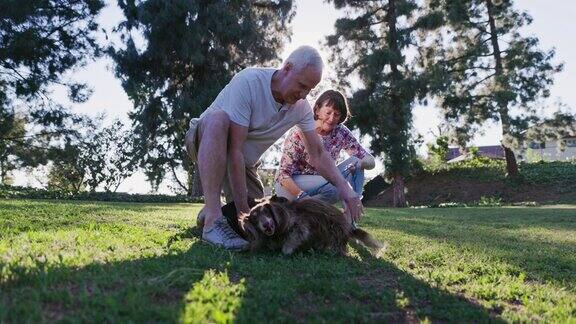 老年已婚退休夫妇在公园遛狗