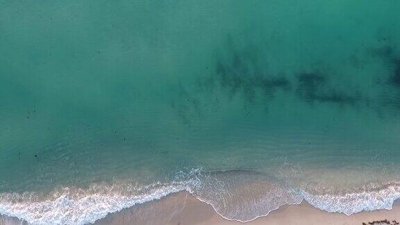 海滩和海洋的鸟瞰图