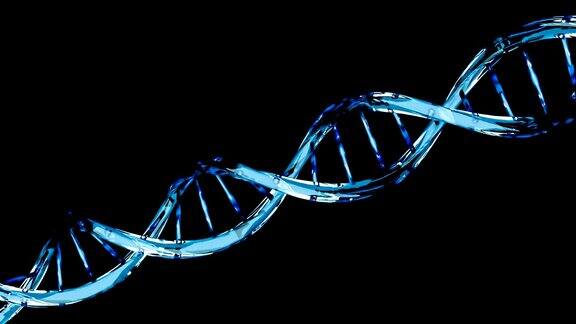 蓝色DNA分子结构分离在黑色上