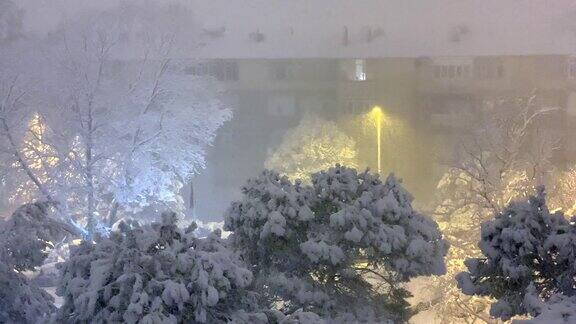 大雪