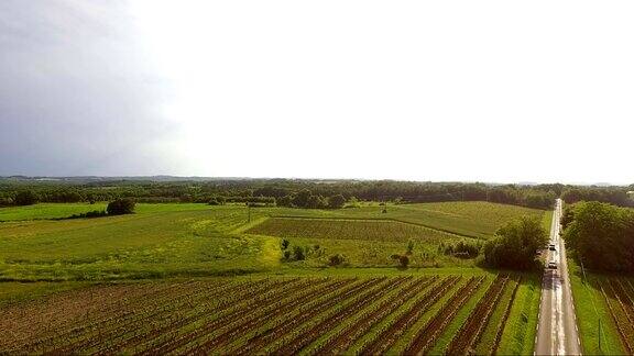 法国波尔多附近葡萄园的鸟瞰图我们可以看到远处的葡萄园