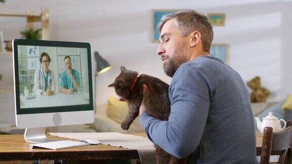 男人与猫咪视频呼叫在线兽医