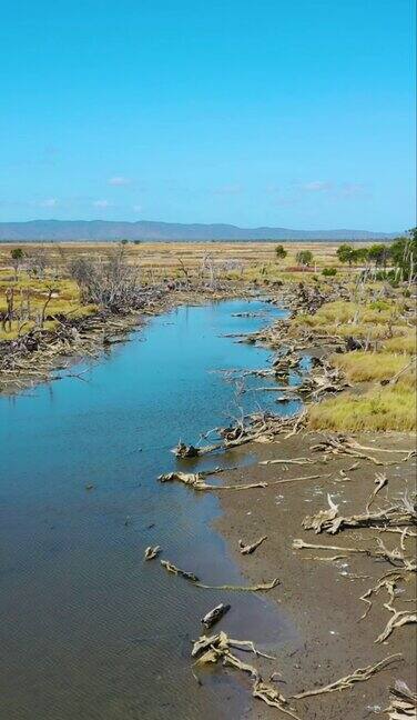 枯树气候变化河床积水