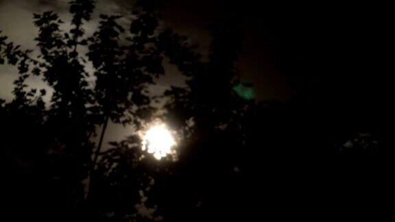 满月在夜空中穿过乌云和树木间隔拍摄