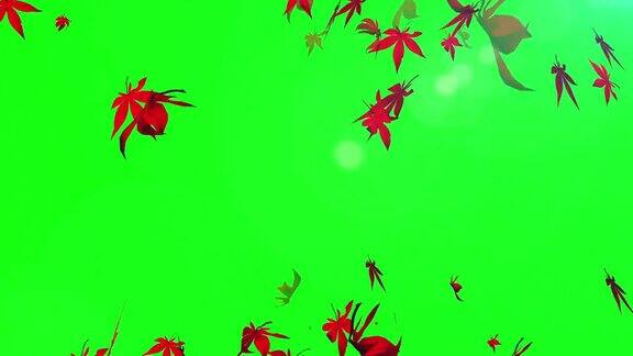秋天枫叶粒子循环动画绿屏