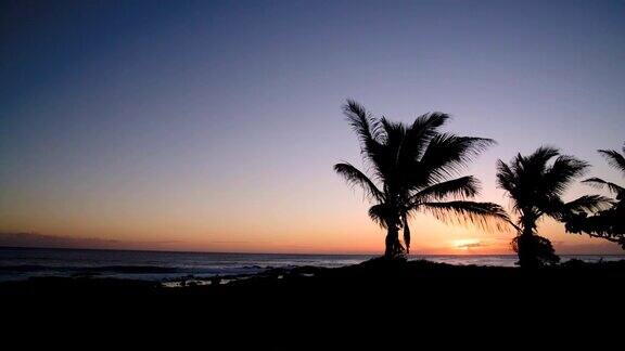 日落的海滩上有棕榈树