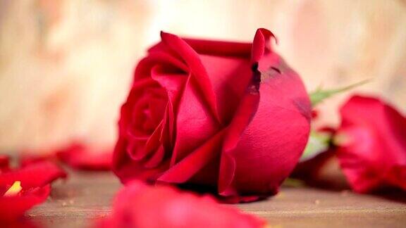 情人节木地板上的红玫瑰花