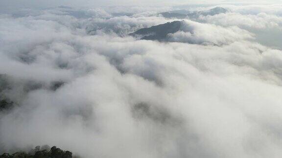 无人机俯瞰清晨有雾的山地雨林4k(UHD)
