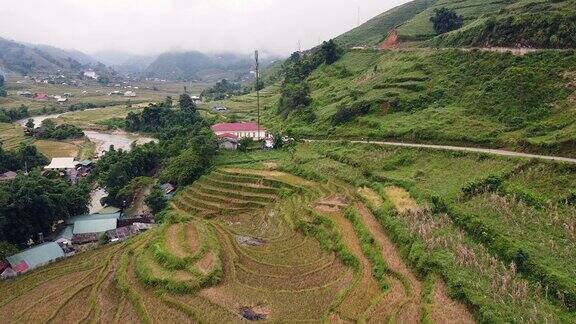 一个乡村有收获的水稻种植道路和郁郁葱葱的绿色植物