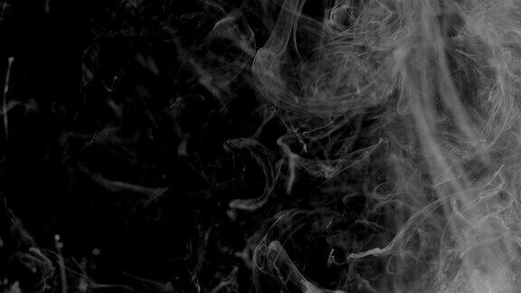 墨水烟雾过渡-过渡动画类似墨水或烟雾黑色和白色烟雾的抽象形式
