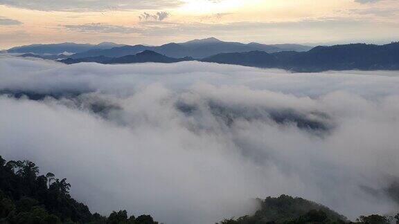 清晨的热带雨林雾和薄雾笼罩着高山