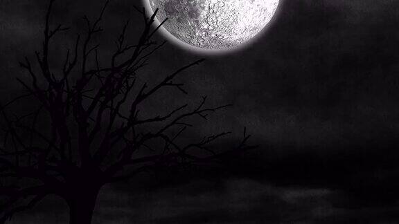数字动画景观与树木和月亮在夜空中