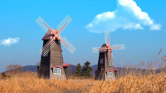 传统荷兰景观与旋转风车