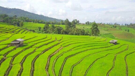 鸟瞰图从多米梯田水稻梯田在泰国北部MaeChaem清迈