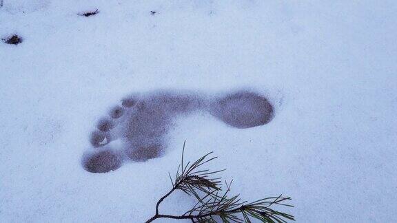 冬天雪地上赤脚的脚印