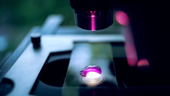 实验室光学显微镜彩色反射