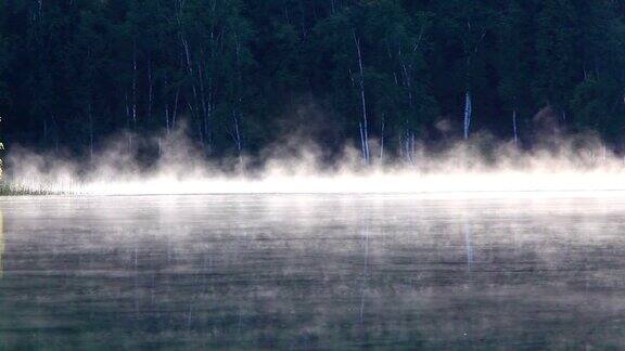 晨雾从湖面升起