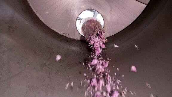 在蒸馏瓶中倒入粉红玫瑰花香精油生产