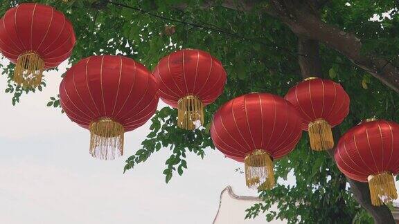传统的大红灯笼挂在公园的树上庆祝中国新年