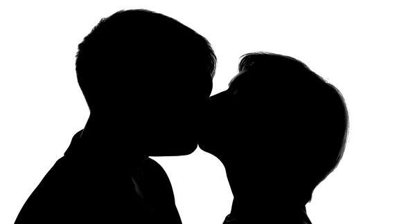 年轻的情侣剪影亲吻在浪漫的约会爱的激情温柔的感情