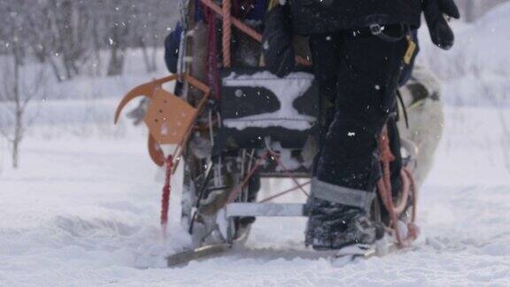 挪威的狗拉雪橇