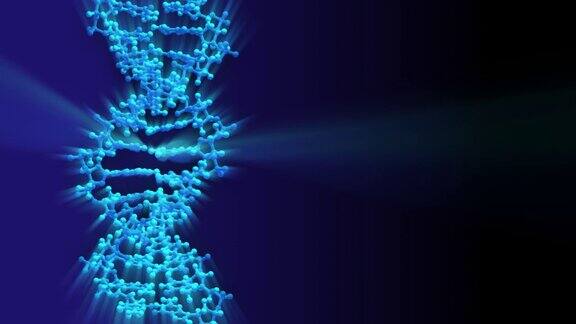 DNA模型旋转