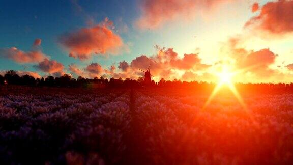 法国的薰衣草村庄古老的风车映衬着美丽的夕阳淘金