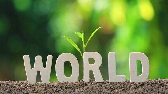 “世界”这个词是木制字母