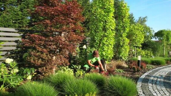 园艺工人在住宅后花园修剪植物
