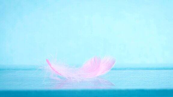 非常接近一个柔软的粉红色羽毛在蓝色背景梦幻柔软新鲜和浪漫4KDci分辨率