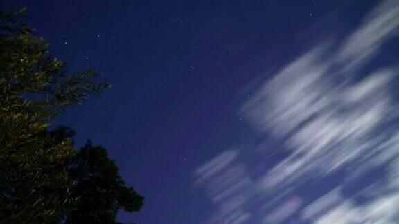 时间流逝镜头的星星和夜空在森林