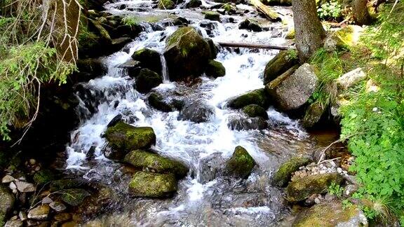 小山河带着大石子