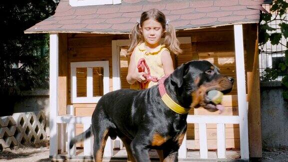 小女孩和她的狗玩