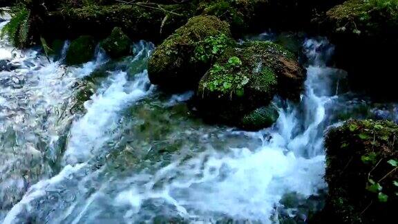 淡水泉流水