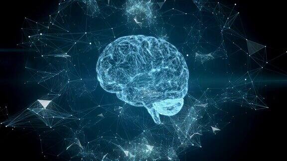 人类大脑转动的动画神经丛科学、医学和商业