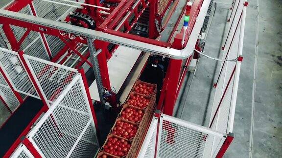 西红柿正在被运往工业建筑工业包装设备工厂设施